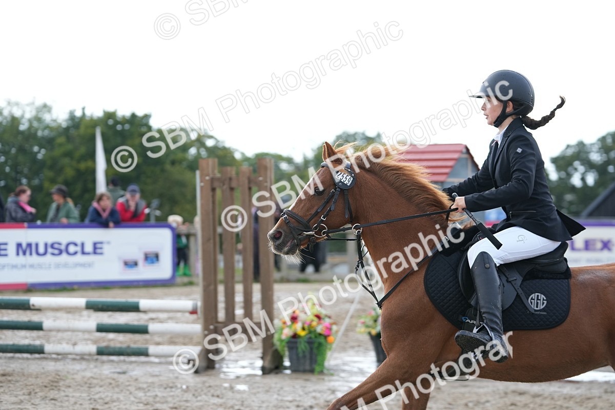 SBM_40018 - J6 - Junior Pony 55cm Championship