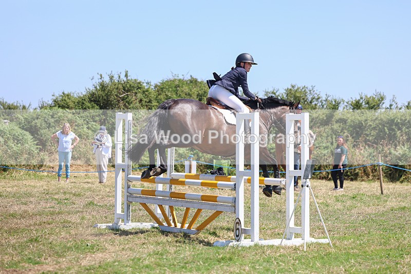 3E7A4455 - Class 10: Senior British Novice/90cm open