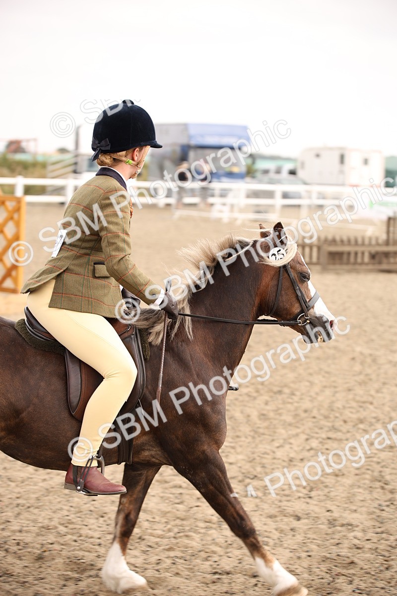 SBM_12577 - Class 405b - M&M Working Veteran 50cm 20+