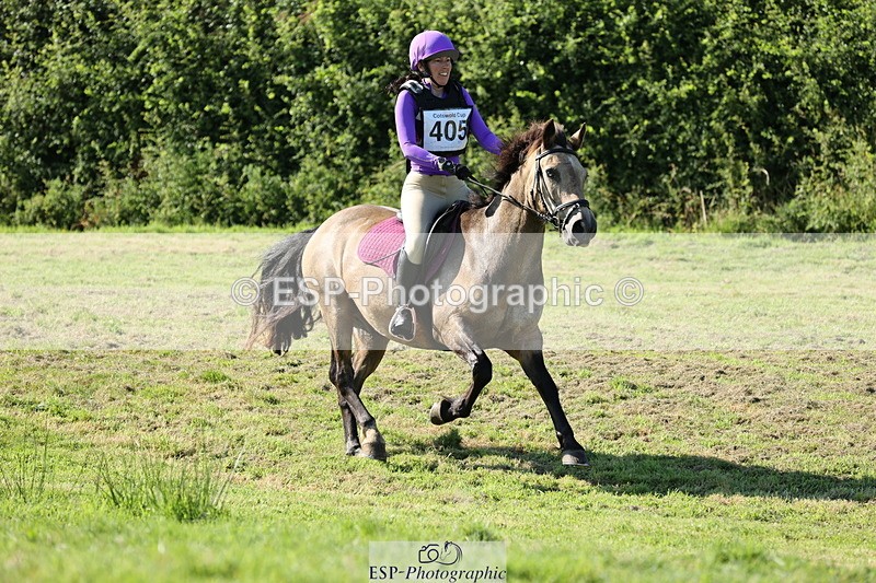 240811A-170310-06928 - 405-