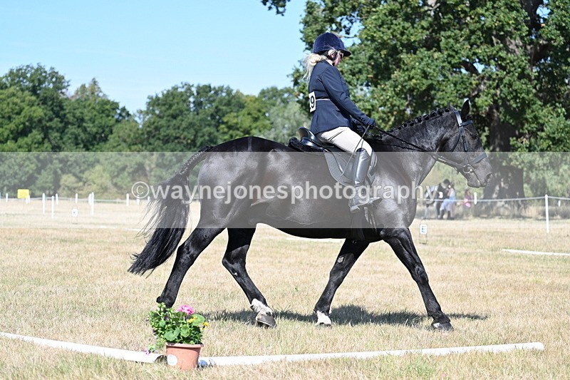 WJ7_9933 - Time 11:03 to 11:28