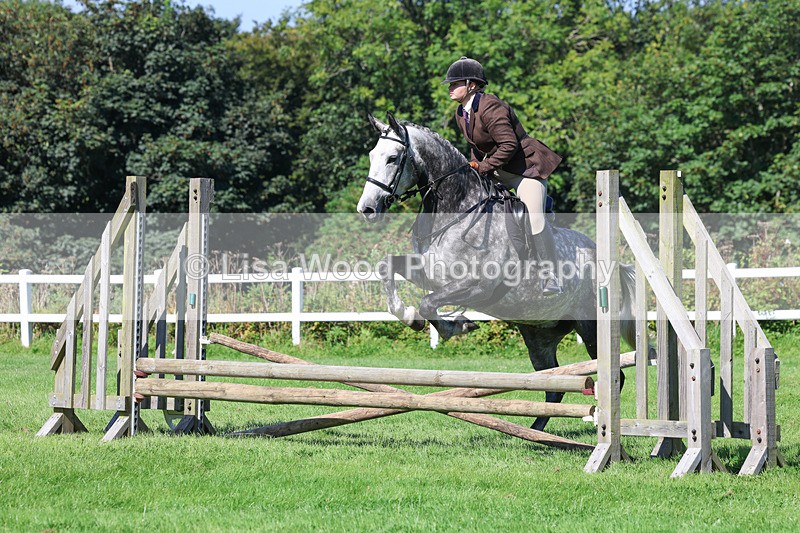 3E7A8275 - Class 4: Novice working Hunter