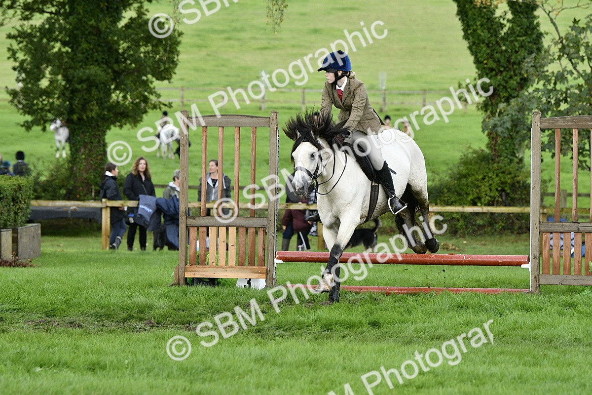 SBM_41520 - S32 - Mountain & Moorland Working Hunter Pony