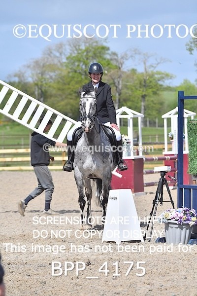 BPP_4175 - CLASS 5 Veterans Show Jumping