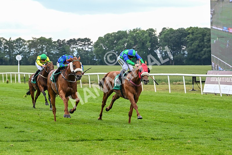 170625-Race 4-Lord Abama-5164 - Race 4