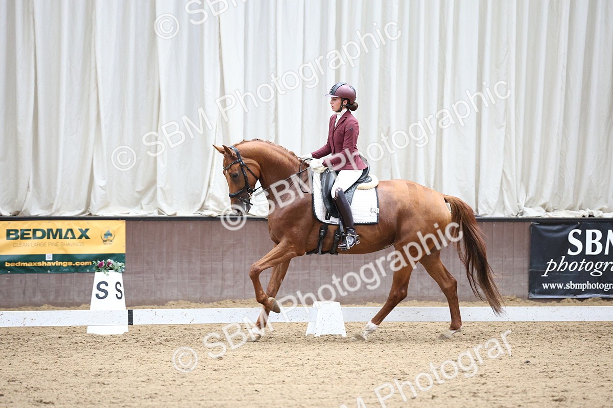 SBM_003452 - Class 5 - Novice 6 Gold - 13.05-14.00
