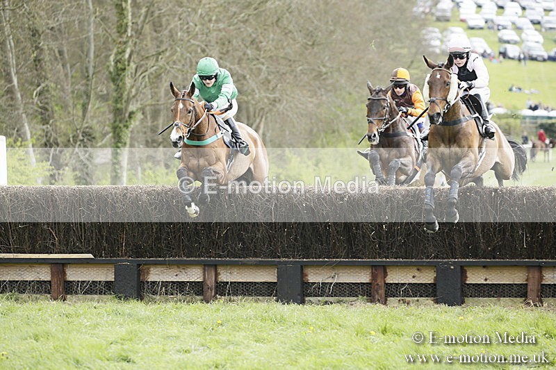 PtP 170417 166 - Old Berks Point-to-Point Lockinge 17/04/17