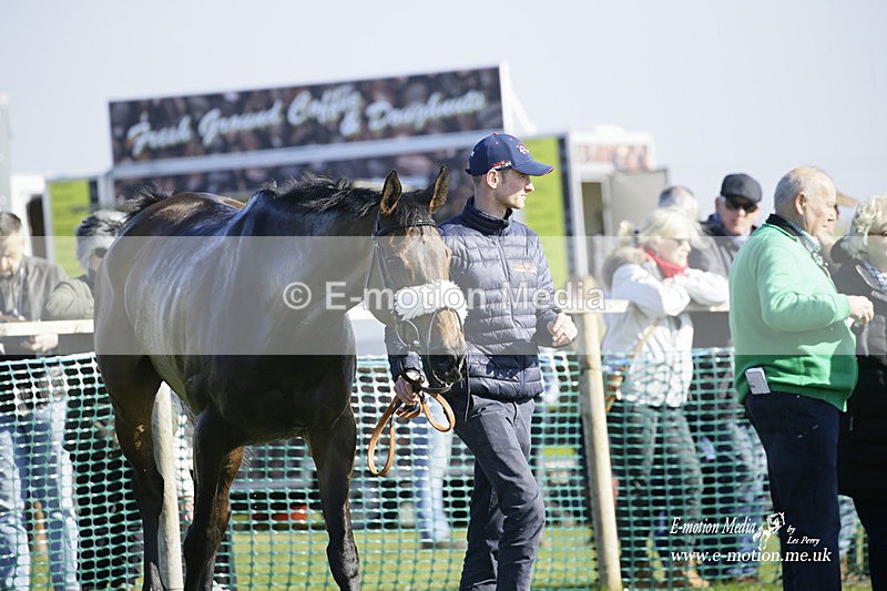 PtP 190322 618 - Wilton Hunt PtP Milborne St Andrew 19/03/22