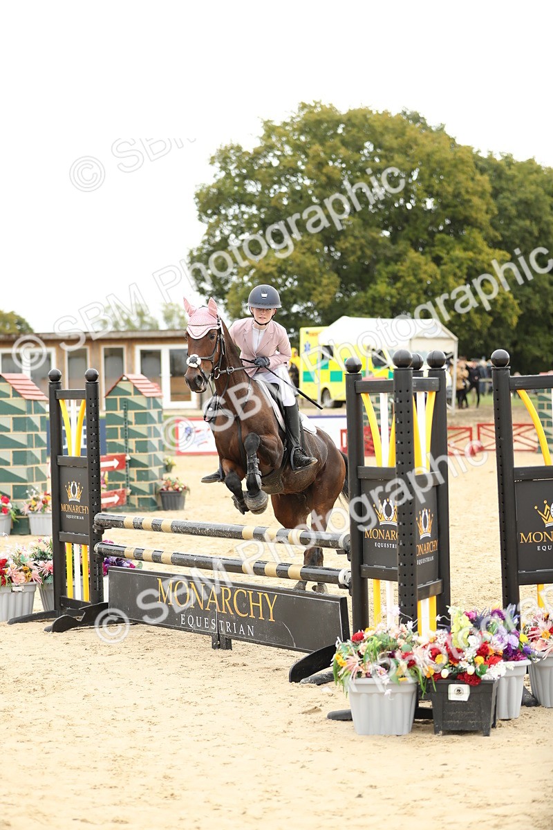 SBM_63143 - Supreme championship 75cm 80cm