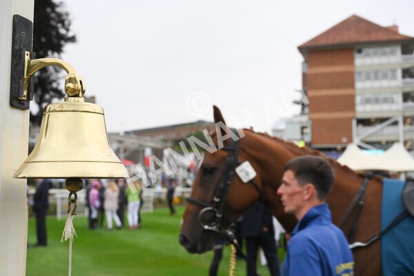 yr22072022r3-18 - Race 3 6.20pm Tomahawk Stakes