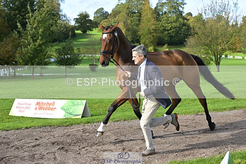 241023-131130-00123 - 006-Mark.Ford-ALVESCOT.FIVE.STAR