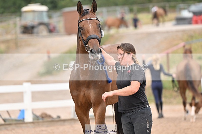 250716-161546-02532 - Trot Up 3.30 to 4.30