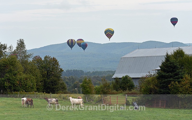 Atlantic International Balloon Festival Sussex New Brunswick Canada
