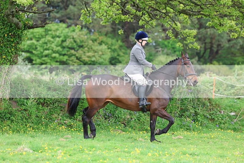 3E7A1105 - Class 7: Ridden Hunter Type