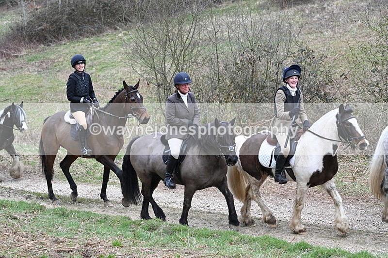 WJ7_7402 - Walk Home