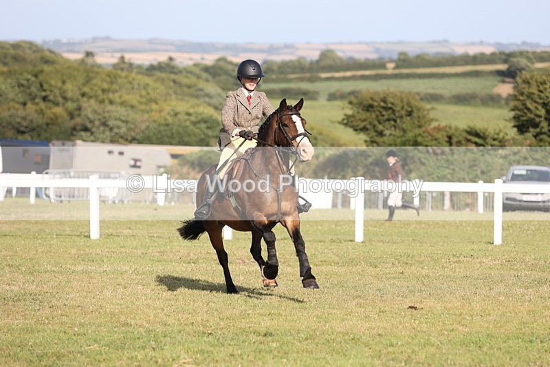 JPP_3227 - Class 21: Working Hunter 80cm