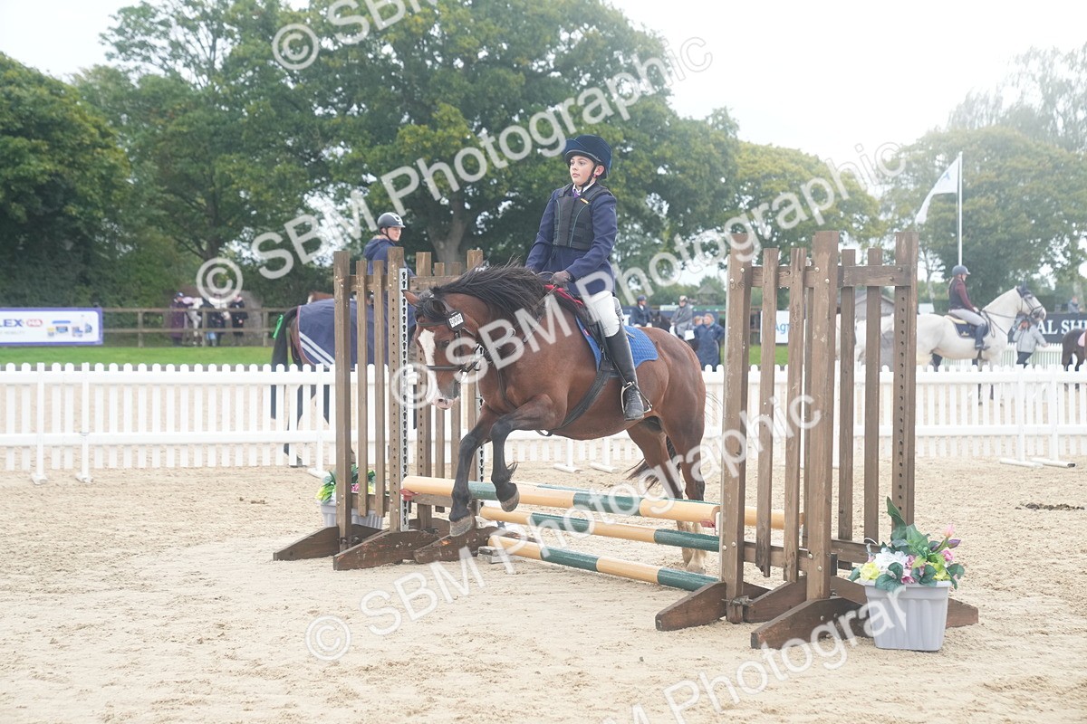 SBM_01894 - J54 - Clear Round 50cm