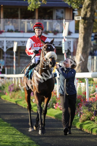 yr07102022r7-39 - Race 7 5.35pm IRE Incentive, It Pays To Buy Irish Stakes