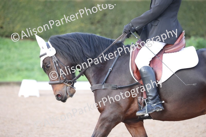 20251206-0055 - Class 2 - Intro 4