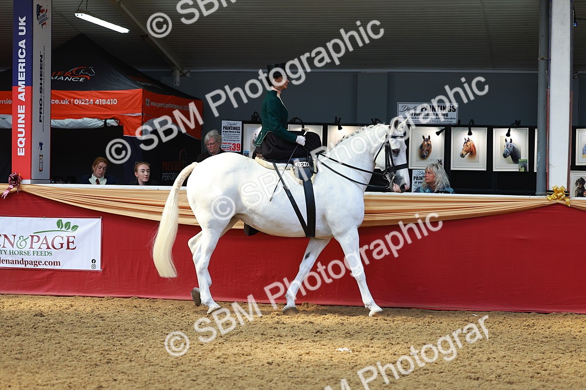 SBM_13847 - Class 106 - Ridden Costume - Side Saddle