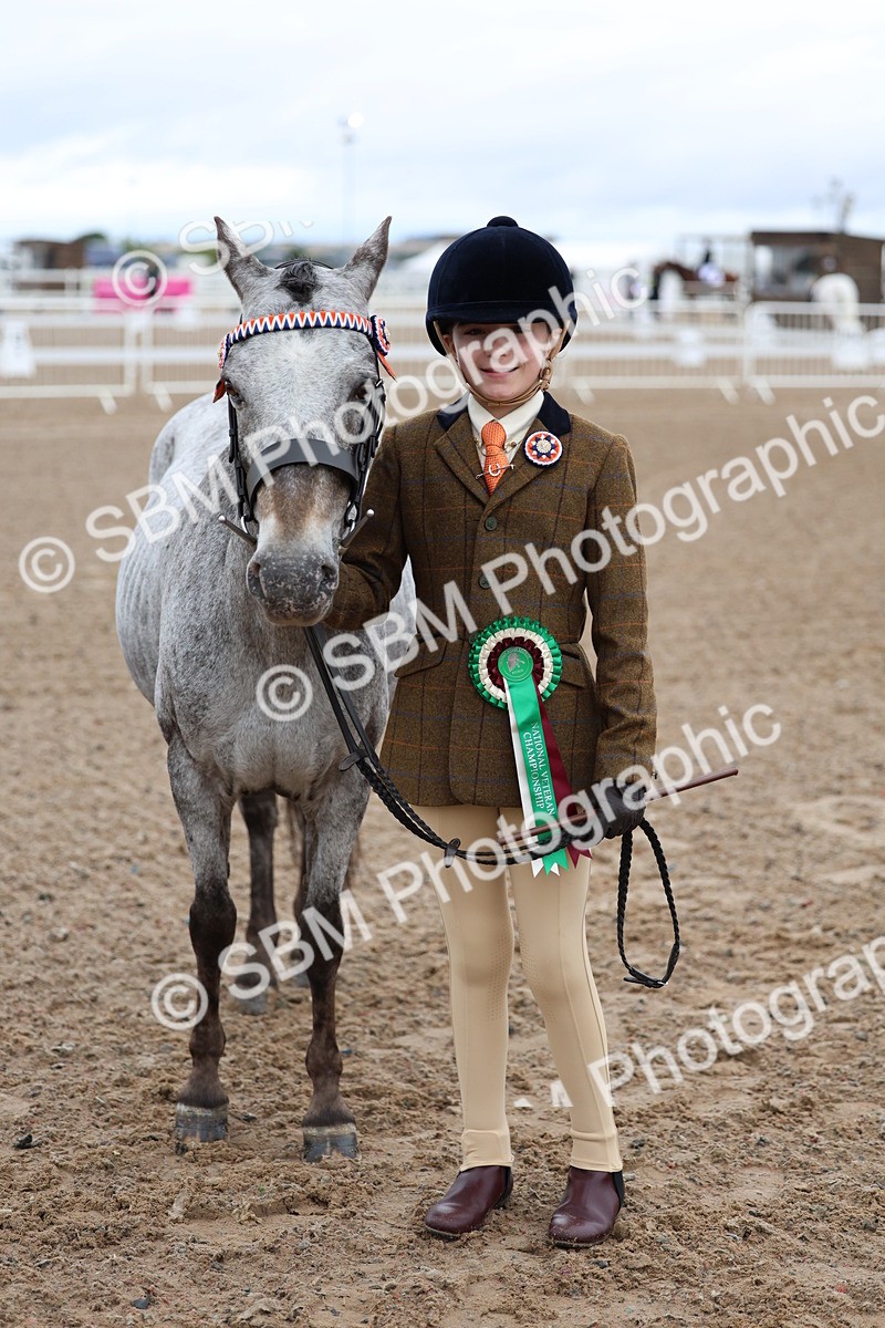SBM_00271 - Class 13 - Young Handler