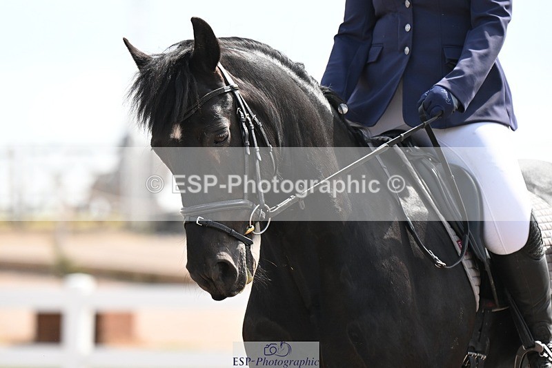 250620-103939-02654 - BD Cls 4 - Novice 5, Start to 11.30am