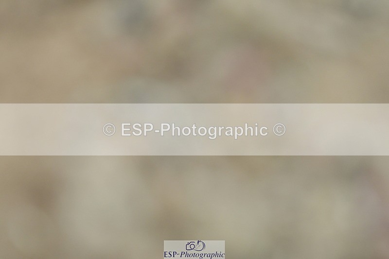 230630A-134402-02794 - Cls 10+11 Medium 69+73