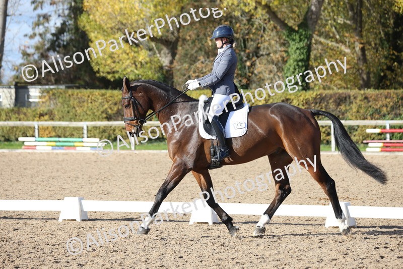 20251102-1041 - Class 5 - Elementary 5