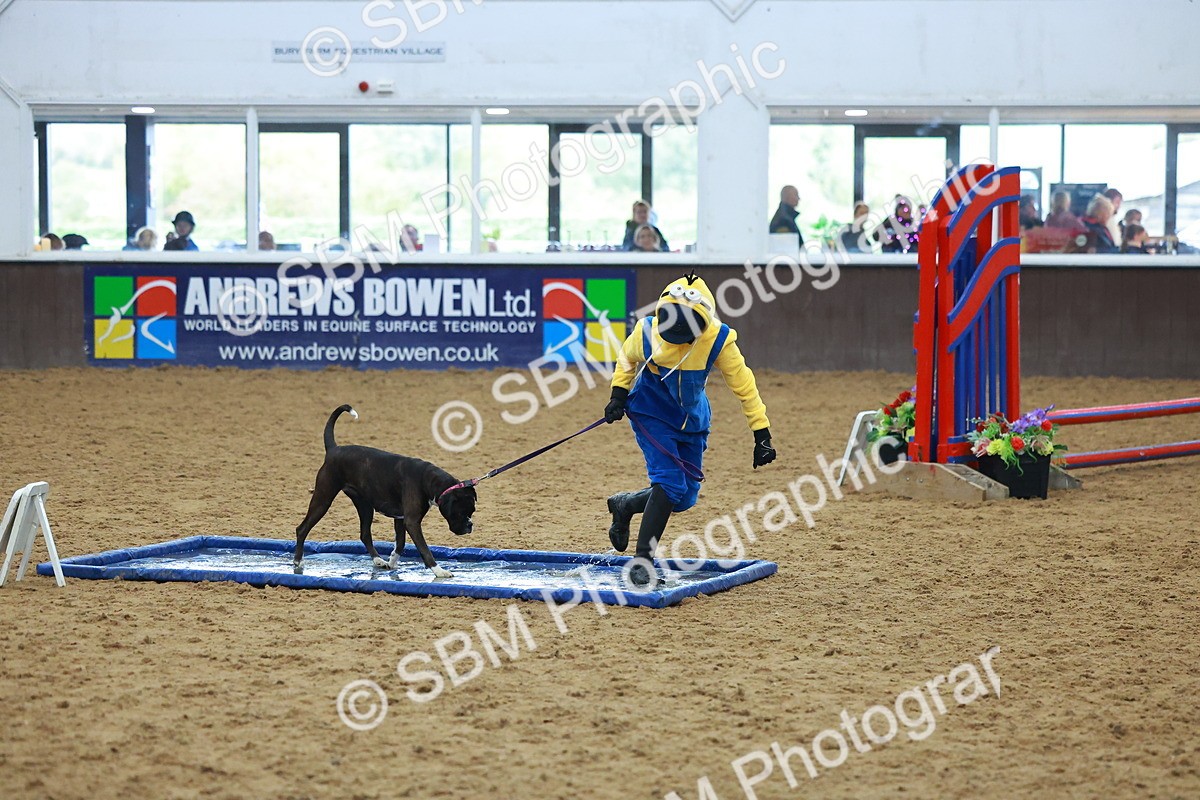 SBM_002263 - Class 3 - Horse & Hound (60cm)