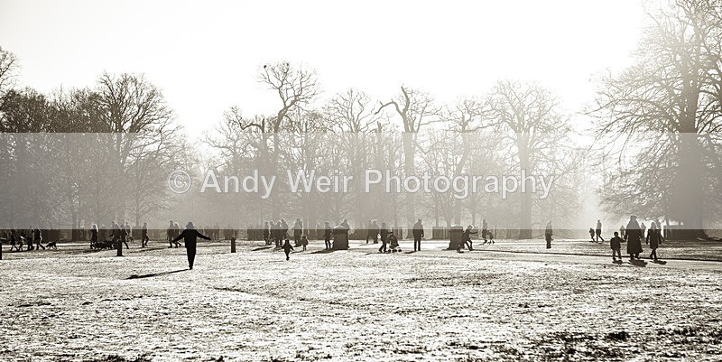 20141228-3K8A7422-3263 - England