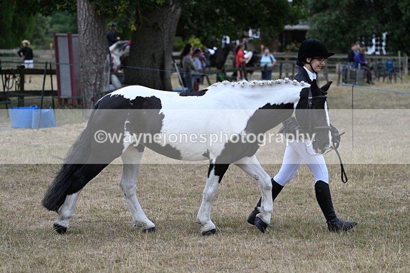 WJ7_8362 - Class 4 Prettiest Mare up to 14.2hh
