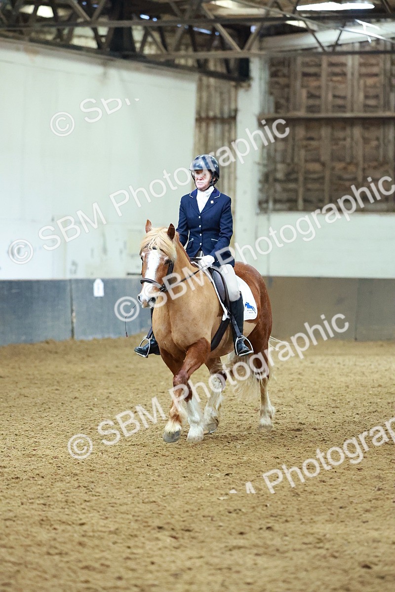 SBM_003624 - Novice 2