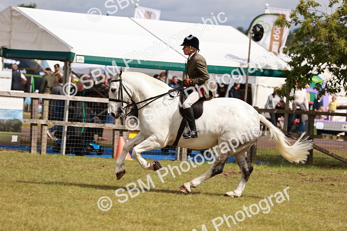 SBM_13112 - Class 85-87 - RIHS Cobs