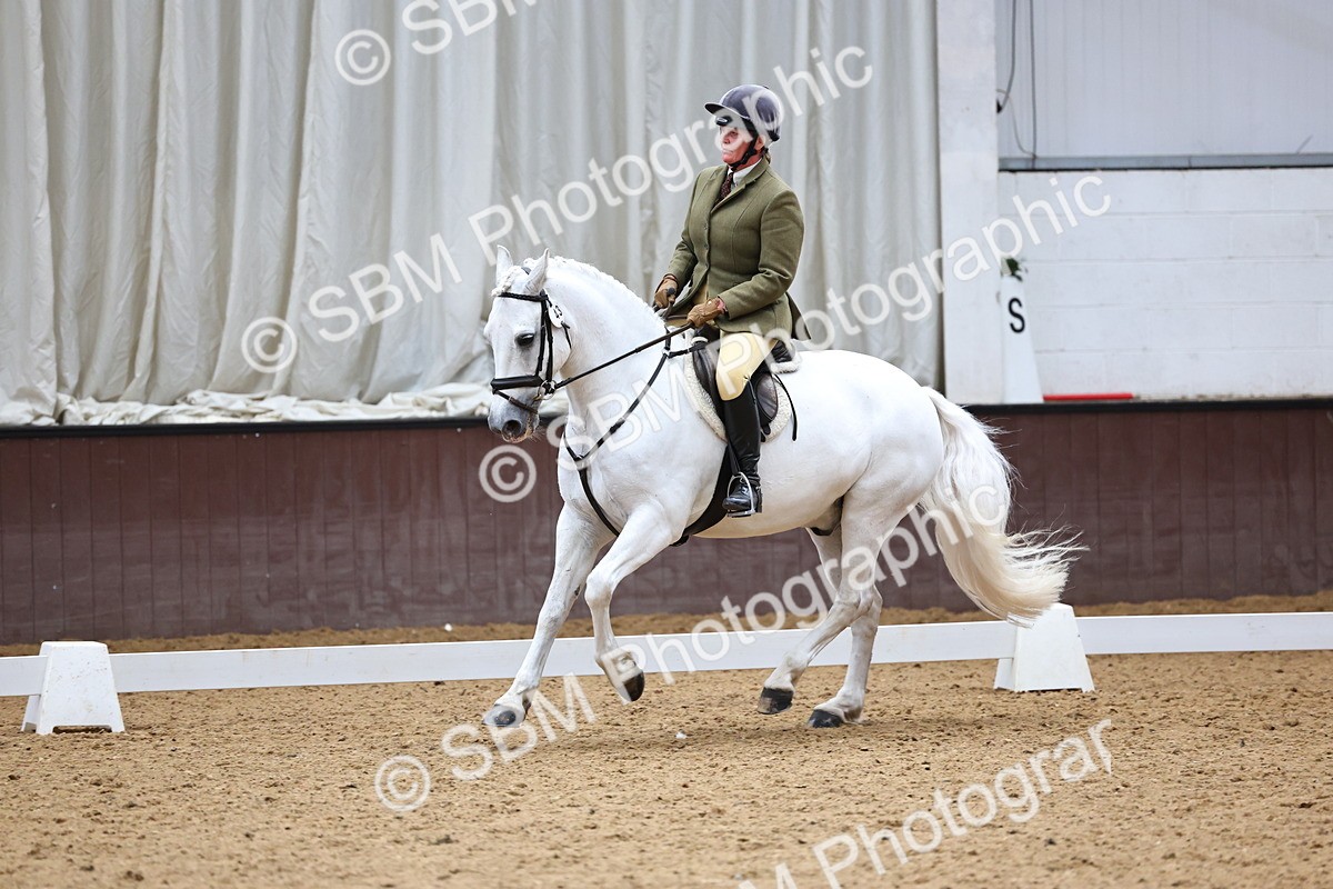 SBM_005481 - Elementary 2