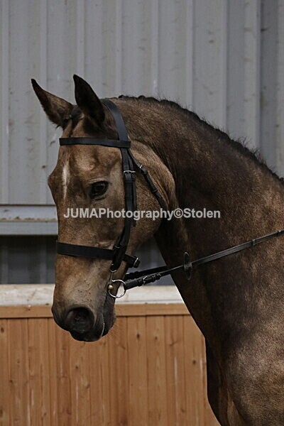 SIAL2643 - Sunday 14th Ridden