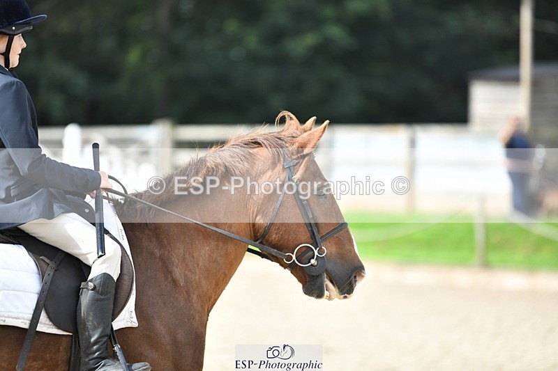 230820-103713-00298 - 80cm - Round 1