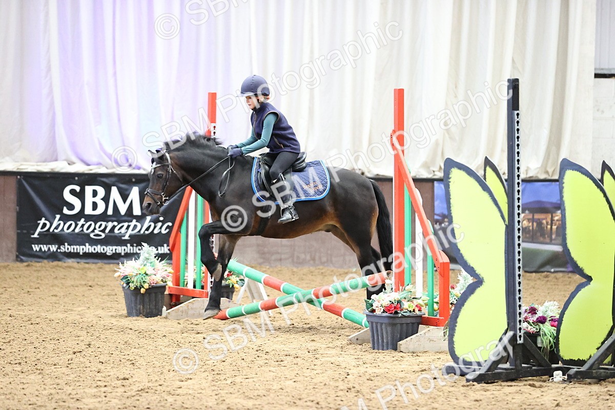SBM_009203 - 50cm