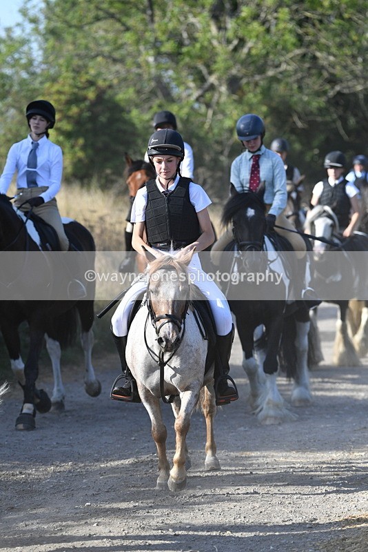 WJ5_4961 - Walk out with the hounds