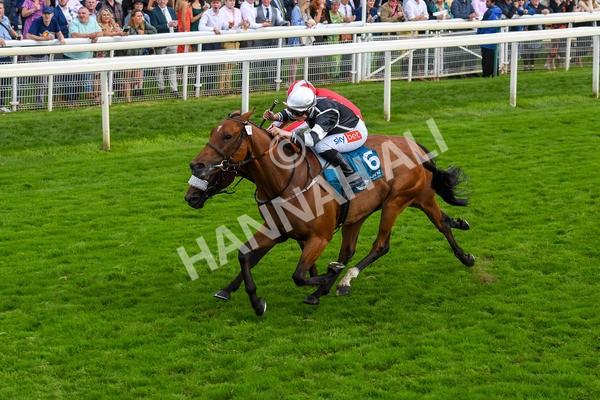 250823-Race 5-Reach-0883 - Race 5 4.10pm Assured Data Protection EBF Fillies' Handicap