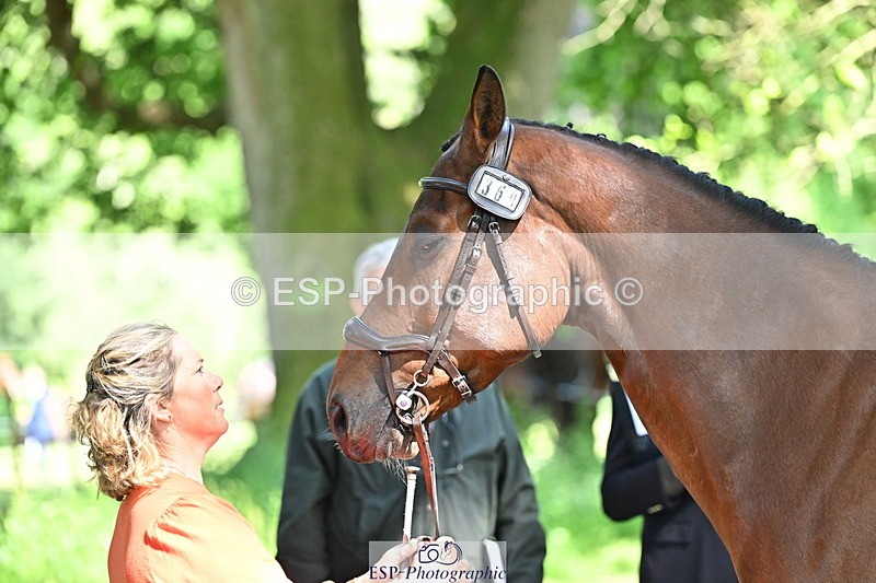 250521A-153548-00621 - B-369-Ali.Wilkes-ROCK.THE.CASPAR