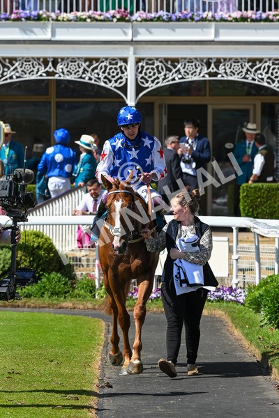 160525-Race 2-Thunder Run-6281 - Race 2 2.42pm Knights Solicitors Handicap