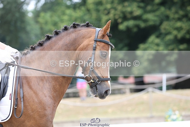 250718A-112617-00810 - 053-Matilda.Bandey-Glebedale.Rizzle.Kicks