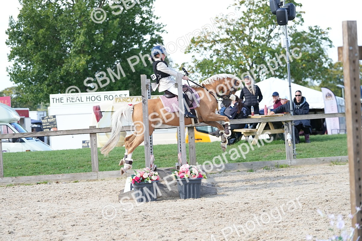 SBM_18165 - J58 - Clear Round 50cm