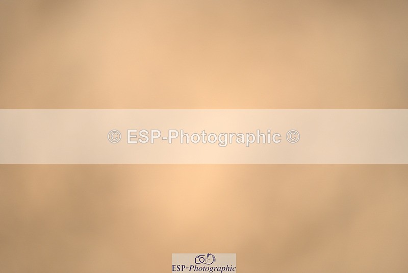 240317A-104347-05087 - Cls 25 Snr 1.20m Open