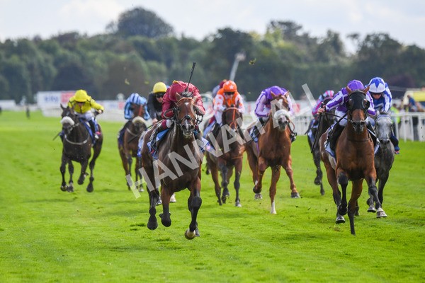 260823-Race 2-Middle Earth-0323 - Race 2 Sky Bet Melrose Handicap