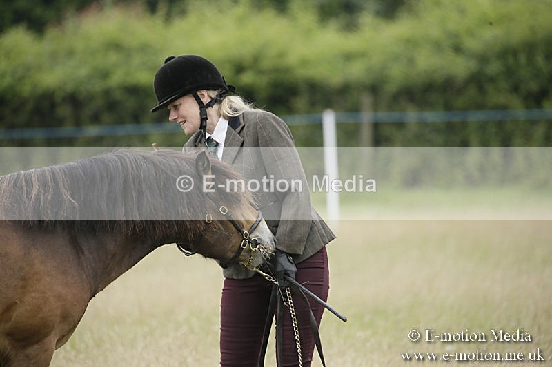 B230619-0076 - Bourne Valley Riding Club Summer Show 23/06/19