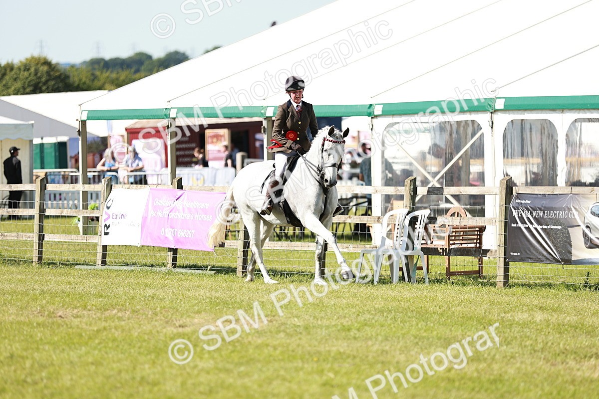 SBM_18953 - Class 114 - RIHS & SEIB Open Working Show Horse