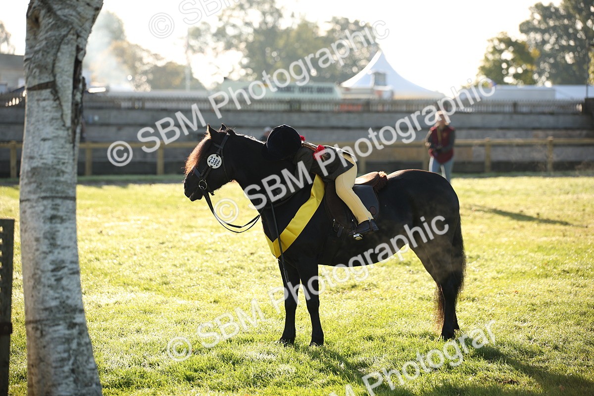 SBM_32376 - S8 - Best Turned Out