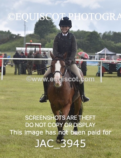 JAC_3945 - 55cm WORKING HUNTER