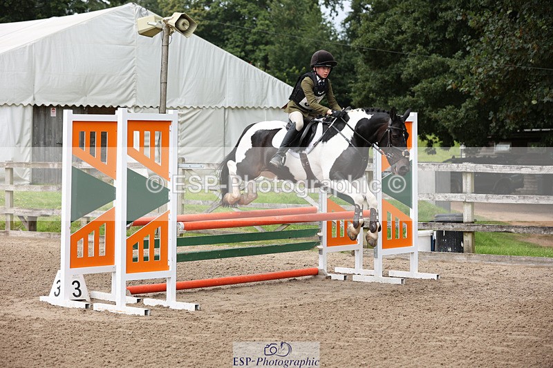 240804-133249-14300 - 555-Jack_Wish-WESTERLAKE_BUTTONWEED